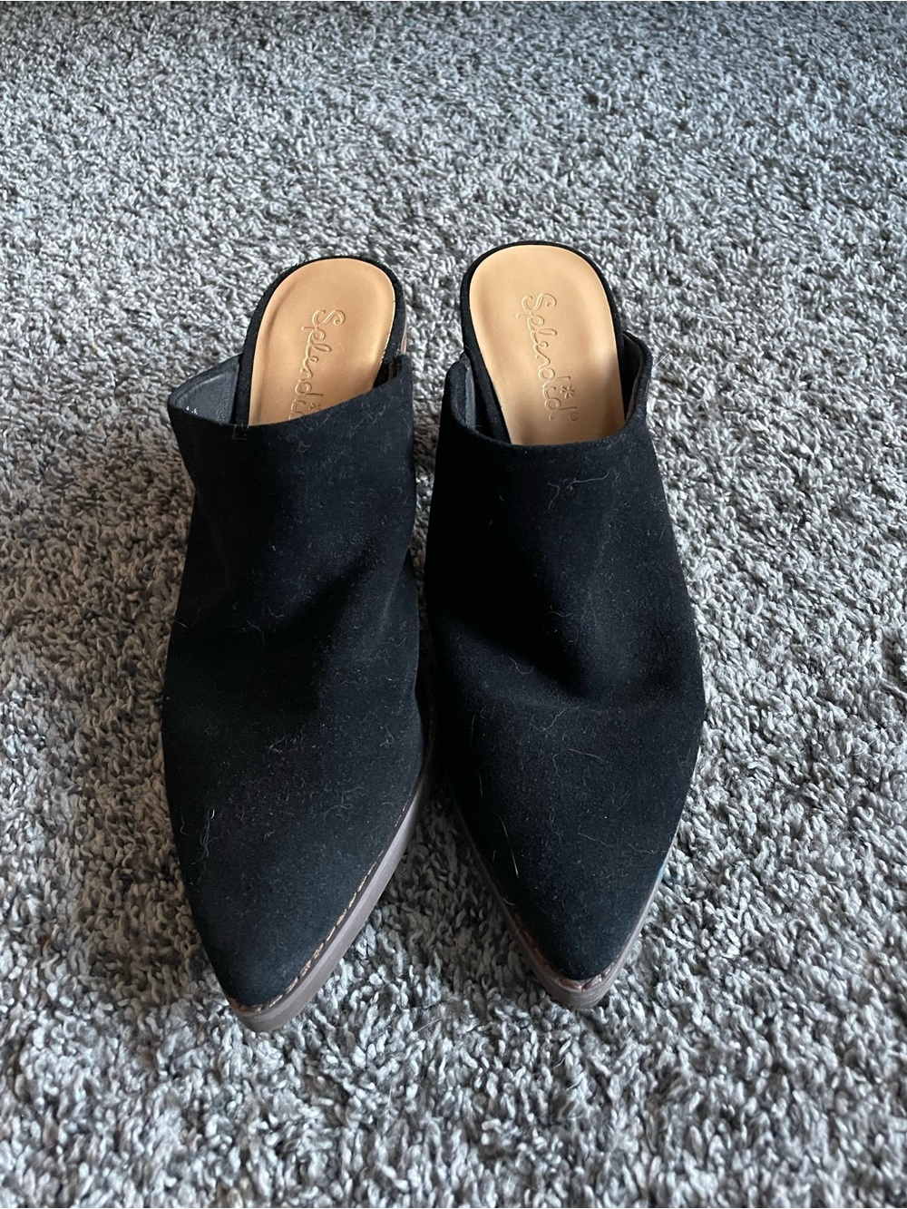 Splendid Black Pointed-Toe Suede Mule